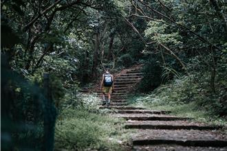 森遊竹縣開爬3周！銀髮族群占比高達3成