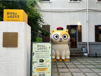 夏日貓咪出沒中 快閃療癒咖啡廳萌力來襲