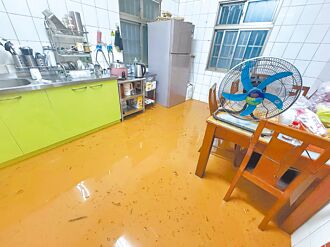 台東暴雨 半山腰淹水 人肉轎送醫