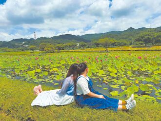 新北山佳荷花绽放 夏日限定美景