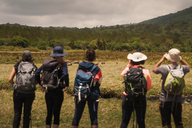 疫情後頂規旅遊市場復甦，極地、東非等行程熱賣。（示意圖。圖：shutterstock/達志）