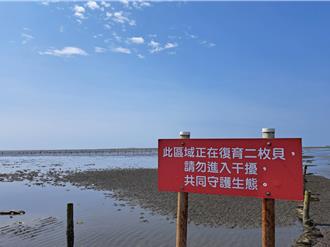 高美濕地復育區遭闖卻不罰？ 農業局稱：無罰責