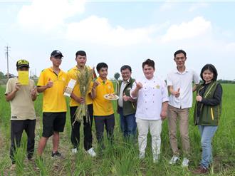 青農孵育計畫種出希望 吸引雲林青年回鄉友善耕種