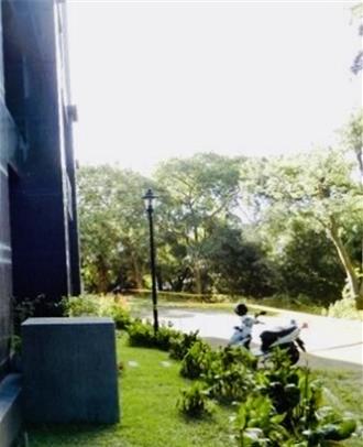 林口男子凌晨疑似墜樓亡、身份未明　警方緊急調查中