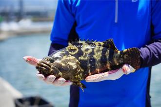 台灣美食展8／1日開展 全台人氣名店、海味一次品嘗