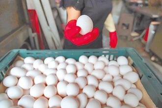 蛋價突凍漲 蛋農批政治介入