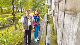 板橋農村公園水溝惡臭 議員促清淤