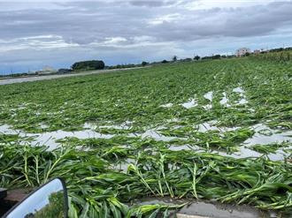 丹娜絲風災募款破千萬！3天湧入逾5千筆