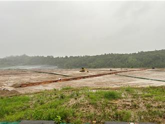 大樹光電案業者遭押  民代質疑「大罷免前」止血或斷尾求生？