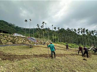 雲林螢火蟲復育！華山「大湖底」賞螢示範區啟用