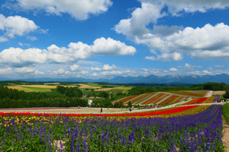 遊日注意！北海道恐現40℃致命性高溫 慎防中暑