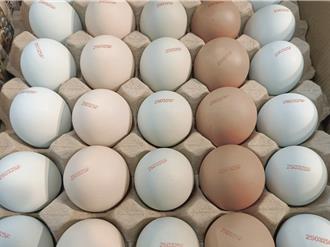 蛋價誰說了算？蛋農稱「沒差」：最大問題是供過於求