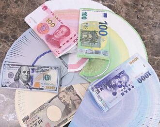 新興國家當地貨幣債基金 報酬雙位數