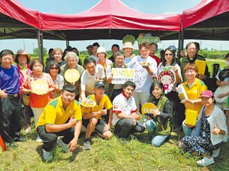 雲林 芥菜種會租地1公頃 扶立青農