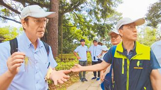 嘉義公園樹木風災浩劫 日本專家促種抗風樹種