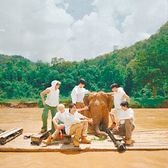 Ozone清迈偕大象渡河险落水