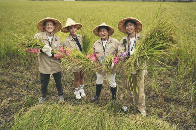 胡瓜（右2）在稻田不小心放屁，讓賈斯汀（左起）、小禎、胡釋安哭笑不得。（客家電視台提供）