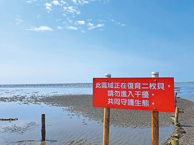 台中市清水区高美溼地二枚贝復育区，虽然设有请勿进入区告示牌，却遭游客闯入。对此，台中市农业局回应，永续利用区没有罚则，将持续宣导勿进入，也请民眾发挥公德心。示意图。（温予菱摄）