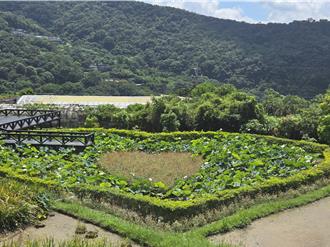城市中的5大浪漫祕境 白石湖社區七夕打造愛情密碼