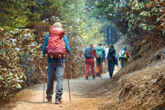 假日爬一次山膝蓋痛好幾天？骨科醫曝登山常見致傷關鍵
