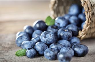 秘魯藍莓23天直航上海  錢凱港迎中國國際進口博覽會首秀