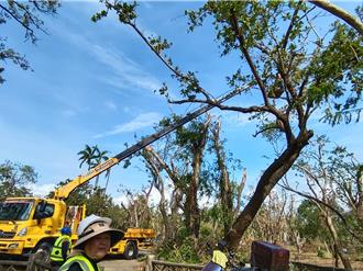 丹娜絲釀樹木浩劫 嘉市38座公園持續封閉 2處拚8月開放