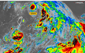 天气》竹节草逼近台湾！专家曝：范斯高呈裸奔状态