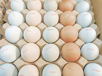 蛋價怎麼報？蛋農：回歸市場機制