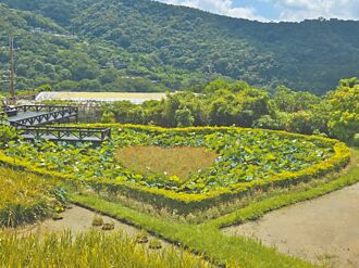 北市 白石湖社區 七夕打造愛情密碼
