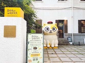 夏日貓咪出沒 萌力來襲