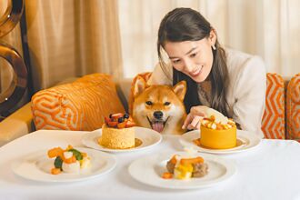 毛孩商機夯 飯店推寵物房