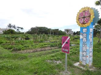 花蓮「快樂農場」再擴大！ 鬱金香公園闢增612耕作區供認養