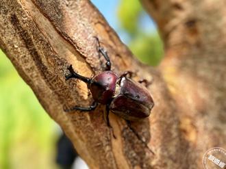 漫遊淡水、三芝農村秘境 壯遊梯田 詩遊尋仙紀！