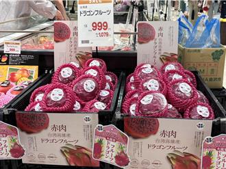 高雄红龙果首进军日本 关西13家连锁超市吃得到