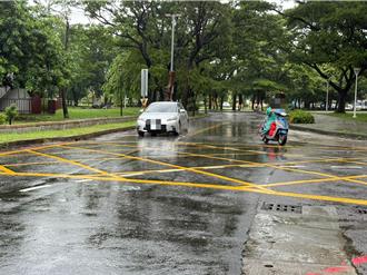 蓮池潭龍虎塔旁無行穿線！里長籲改善 烏龜氾濫竟爬上車道