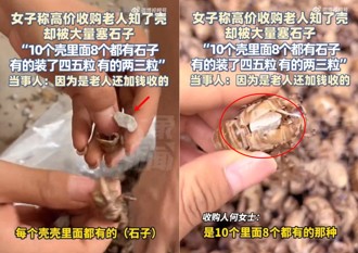 女子高價收「蟬蛻」遇詐騙老夫妻　殼內竟藏小石頭加重