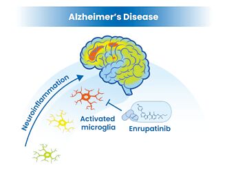 安立璽榮新藥EI-1071 獲國際肯定