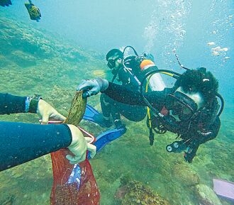 守護海洋 新壽培育潛水志工清海廢