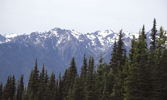 瑞典蓋全球最大木造城