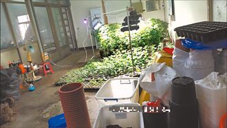 遊戲幣交易 線上博弈暗藏販毒