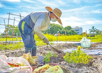 吉安鄉快樂農場 長者、身障免費