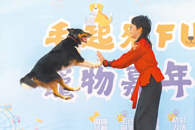 桃园市动保处27日在南昌动物保护教育园区举办「毛起来Fun宠物嘉年华」，致力让桃园成为动物友善城市。（蔡依珍摄）