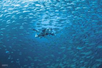 菲律宾观光部呼吁资讯透明与问责 HelloSafe撤回「最不安全国家」报告