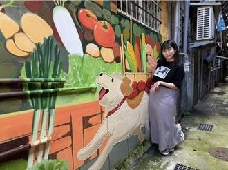 污水接管普及率破7成！新北后巷变身画廊超吸睛