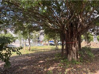 桃園大溪公兒八及廣停四公園動土 打造陀螺主題遊憩公園
