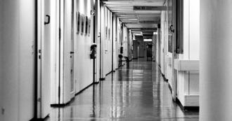 太扯！被流浪狗絆倒   陸男怒殺死路過老婦：以為她是飼主