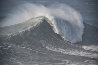 海嘯30公分能沖走60％女性 粉專急喊快遠離：別拿命賭