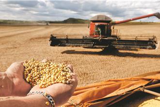 南美失利？陆大豆油低价外销 印度罕见进口15万吨