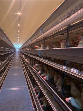 海納百川》風災後蛋蛋的憂傷 凍漲合理嗎？（鐘重發）