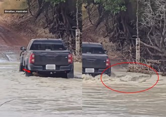 皮卡越野渡河突卡住 竟是水中的「牠」遭輾導致